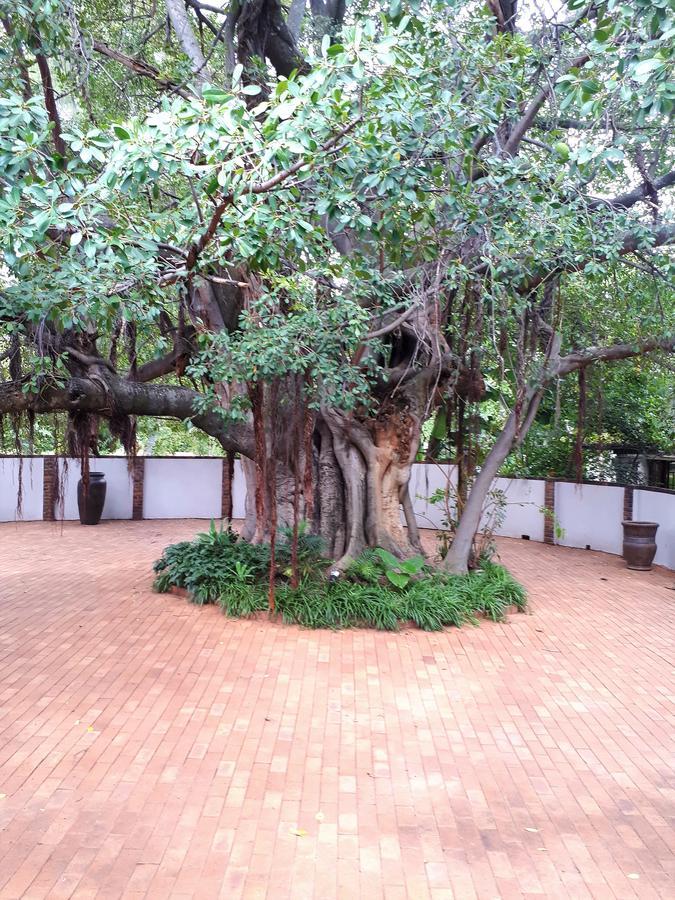 Bush Lovers Lodge Modimolle Ngoại thất bức ảnh